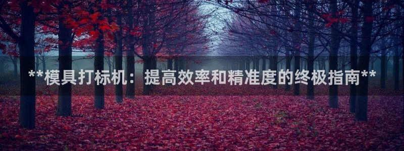太阳集市网上商城：**模具打标机：提高效率和精准度的终极指南**