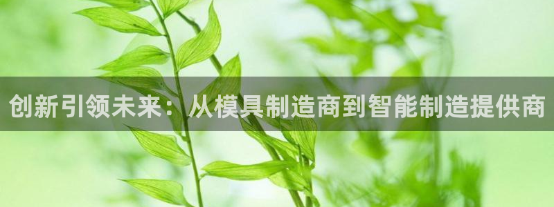 太阳集团城网站：创新引领未来：从模具制造商到智能制造提供商