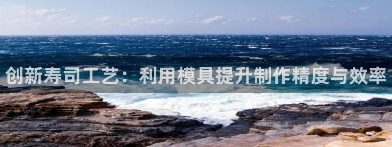 太阳成集团tyc33455cc平台：创新寿司工艺：利用模具提升制作精度与效率