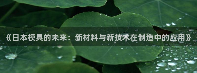 太阳gg娱乐胺44262：《日本模具的未来：新材料与新技术在制造中的应用》