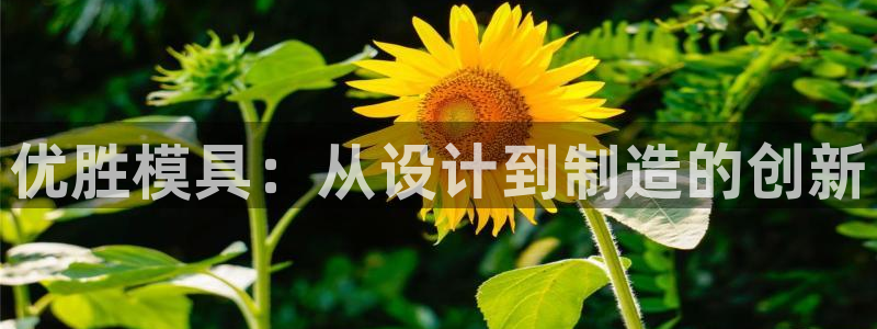 太阳集团电子游戏不朽的浪漫视频：优胜模具：从设计到制造的创新