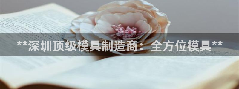 太阳gg打不开了吗：**深圳顶级模具制造商：全方位模具**