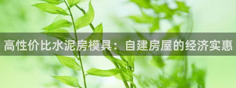 太阳诚集团有限公司：高性价比水泥房模具：自建房屋的经济实惠
