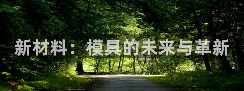 太阳成集团tyc234cc[主页]网：新材料：模具的未来与革新