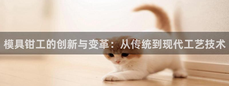 太阳集团网站视频：模具钳工的创新与变革：从传统到现代工艺技术