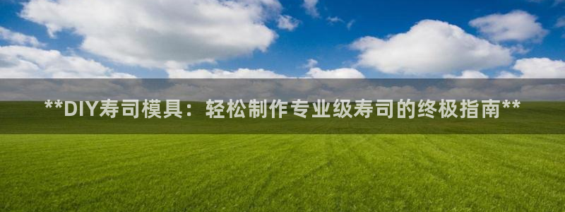 太阳成集团tyc151：**DIY寿司模具：轻松制作专业级寿司的终极指南**