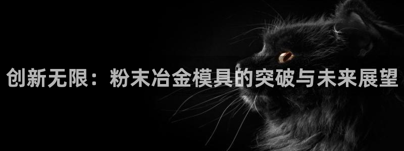 太阳成集团tyc234cc振兴：创新无限：粉末冶金模具的突破与未来展望