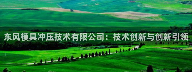 太阳sun网站：东风模具冲压技术有限公司：技术创新与创新引领