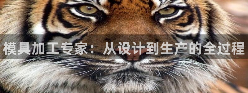 太阳集团城官方app下载