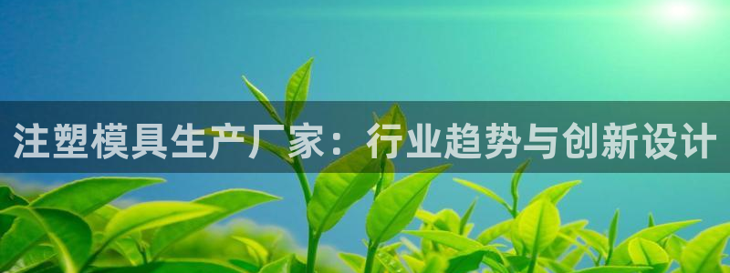 太阳诚集团有限公司怎么样：注塑模具生产厂家：行业趋势与创新设计
