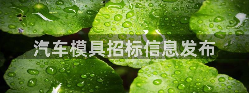 古天乐太阳集团城app：汽车模具招标信息发布
