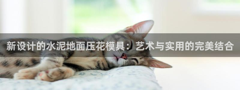 太阳成集团tyc234cc—首页欢迎您