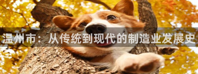 古天乐代言的太阳集团城网址：温州市：从传统到现代的制造业发展