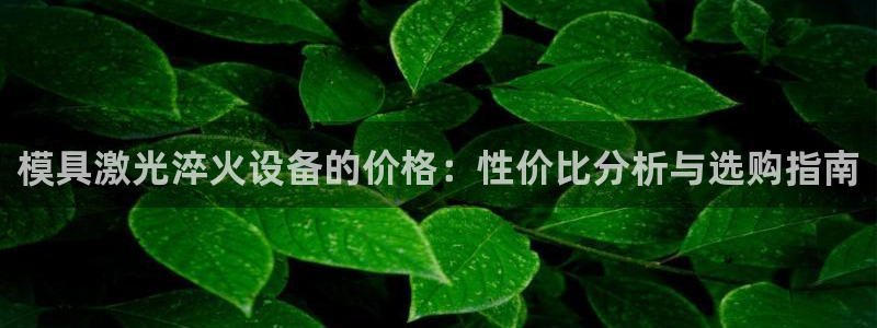 古天乐代言太阳集团线路检测：模具激光淬火设备的价格：性价比分析与选购指南