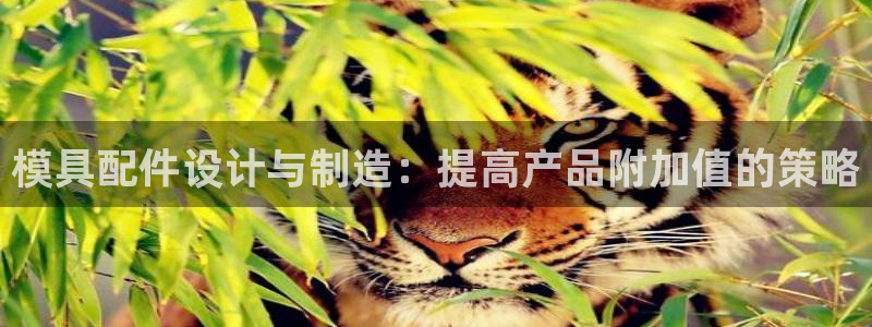 太阳集团tcy8722贵宾会：模具配件设计与制造：提高产品附