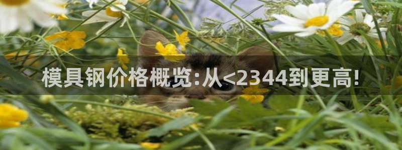 太阳1城集团网址查询：模具钢价格概览:从<2344到更高!