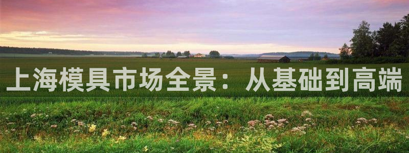 太阳成集团tyc234cc[主页]网：上海模具市场全景：从基