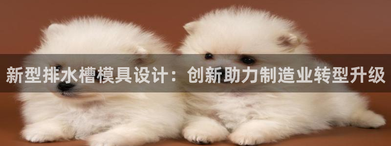 2018太阳集团游戏网站：新型排水槽模具设计：创新助力制造业转型升级