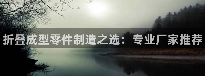 太阳阳城集团有限公司：折叠成型零件制造之选：专业厂家推荐