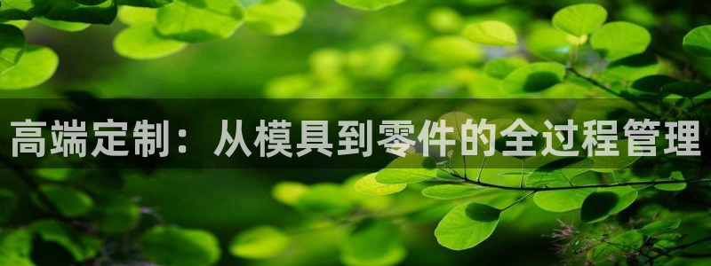 太阳诚集团APP在线观看：高端定制：从模具到零件的全过程管理