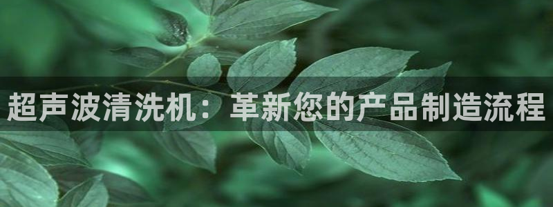 太阳2平台网站：超声波清洗机：革新您的产品制造流程