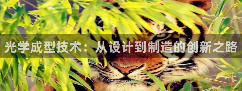 太阳集团股份有限公司招聘