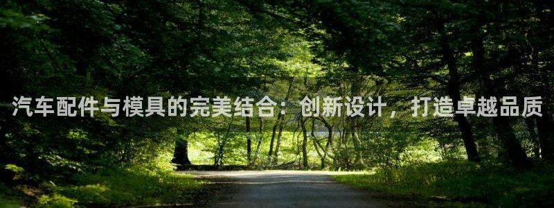 太阳集团游戏城旧版2.1.9：汽车配件与模具的完美结合：创新设计，打造卓越品质