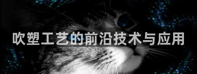 太阳成集团tyc234cc[主页]网站振兴：吹塑工艺的前沿技术与应用