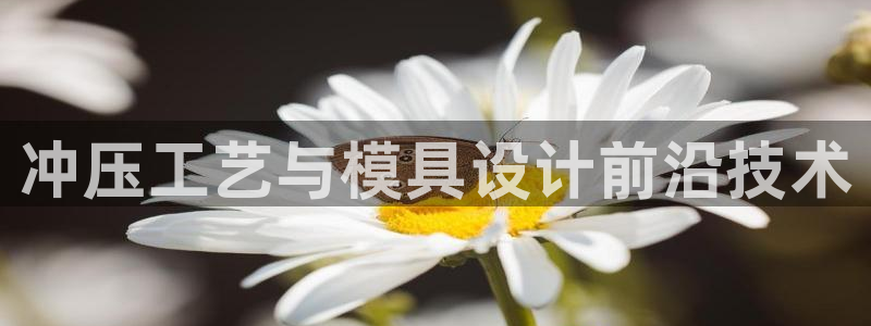 太阳集团股份有限公司：冲压工艺与模具设计前沿技术