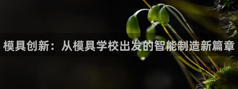古天乐太阳集团城app：模具创新：从模具学校出发的智能制造新篇章