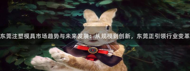 太阳集团城网址：东莞注塑模具市场趋势与未来发展：从规模到创新，东莞正引领行业变革