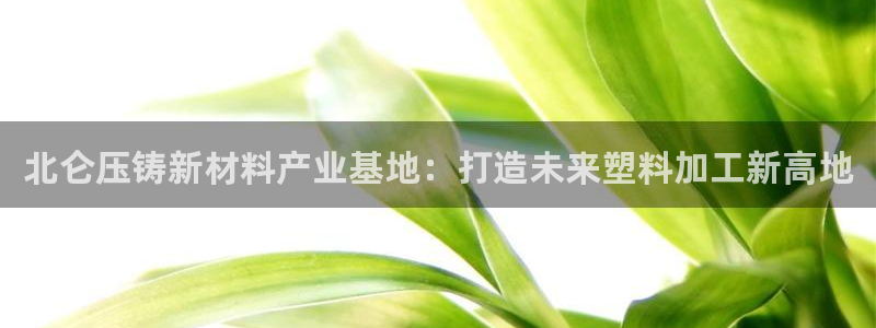 太阳集团电子游戏如何赚钱：北仑压铸新材料产业基地：打造未来塑