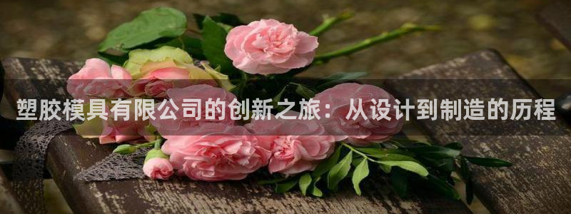 太阳成集团洗米华：塑胶模具有限公司的创新之旅：从设计到制造的历程