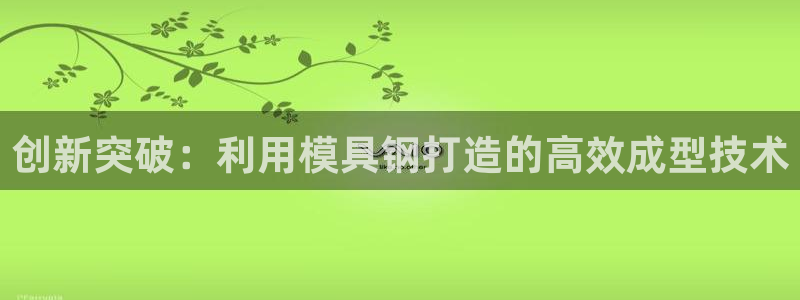 太阳http下载：创新突破：利用模具钢打造的高效成型技术