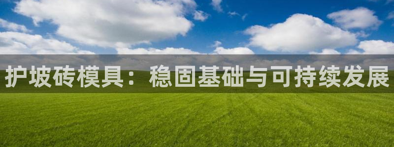 太阳成集团tyc234cc投资控股集团：护坡砖模具：稳固基础与可持续发展