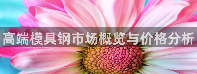 太阳集团官网：高端模具钢市场概览与价格分析