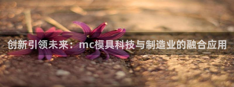 太阳地产集团