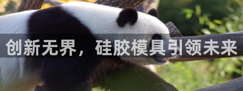 太阳app官方下载