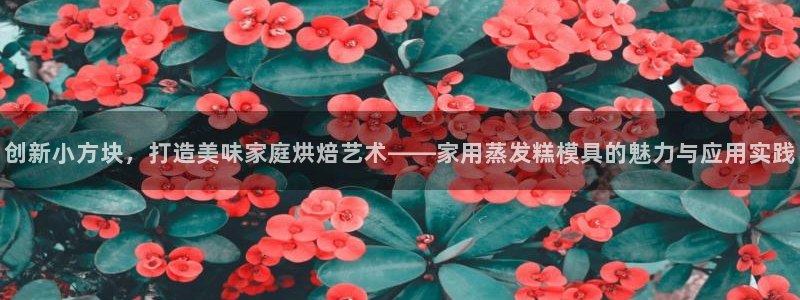 太阳集团城娱138：创新小方块，打造美味家庭烘焙艺术——家用蒸发糕模具的魅力与应用实践