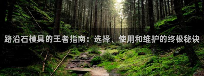 太阳集团在哪里